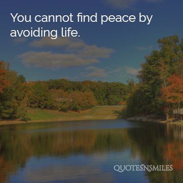 you cannot find peace by avoiding life
