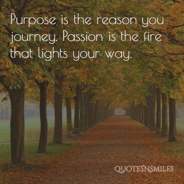 passion is the fire that lights the way picture quote