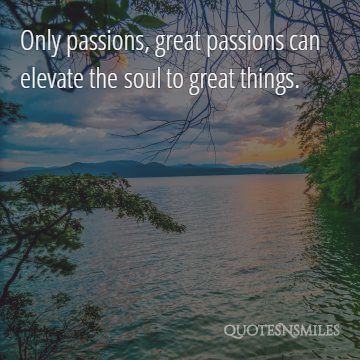 passions elevate the soul picture quote