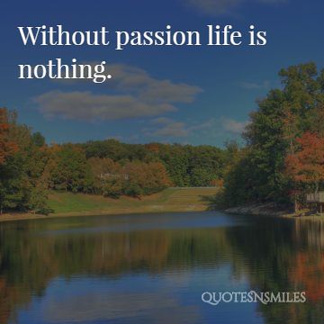 without passion life is nothing picture quote