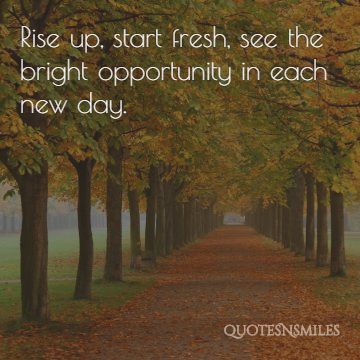 see the opportunity in each new day uplifting picture quotes