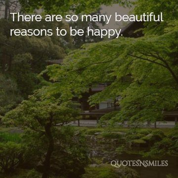 so many reasons to be happy stay at home picture quotes