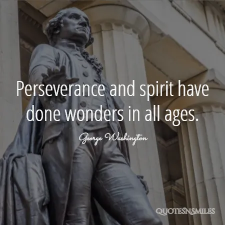 perseverance and spirit have done wonders in all ages 