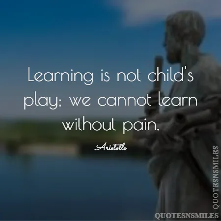 learning is not child s play we cannot learn without pain 
