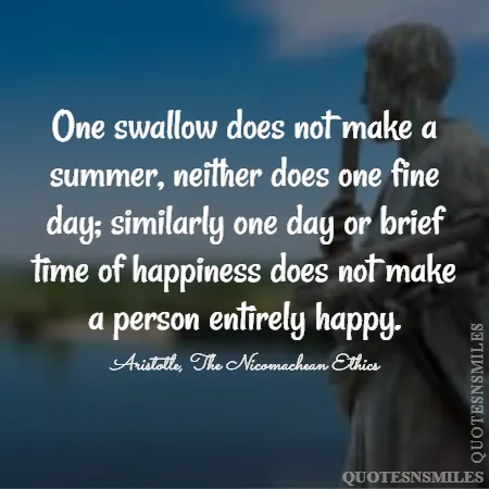 one swallow does not make a summer neither does one fine day similarly one day or brief time of happiness does not make a person entirely happy 