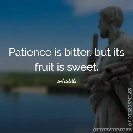 patience is bitter but its fruit is sweet 
