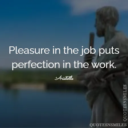 pleasure in the job puts perfection in the work 