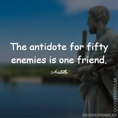 the antidote for fifty enemies is one friend 