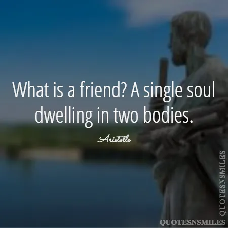 what is a friend a single soul dwelling in two bodies 