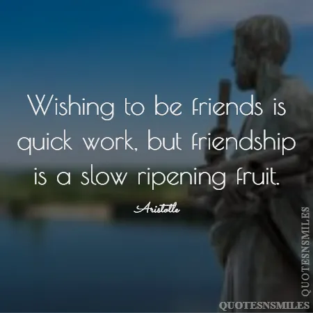 wishing to be friends is quick work but friendship is a slow ripening fruit 