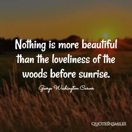 nothing is more beautiful than the loveliness of the woods before sunrise 